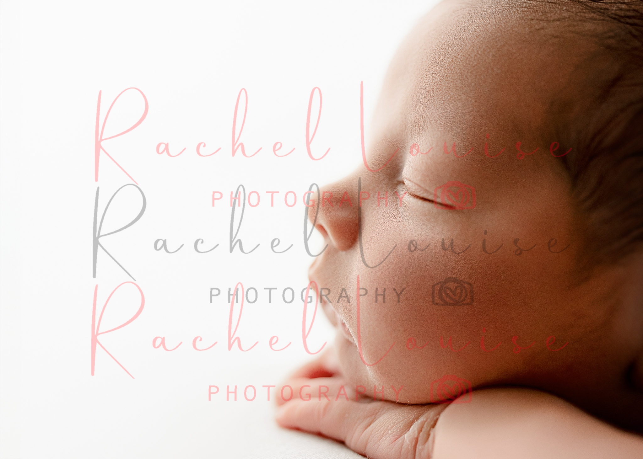 Image 9-Gallery-2